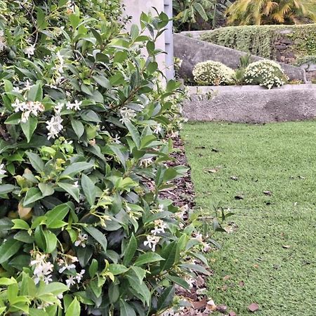 Moradia Stephanie Funchal (Madeira) Exterior foto