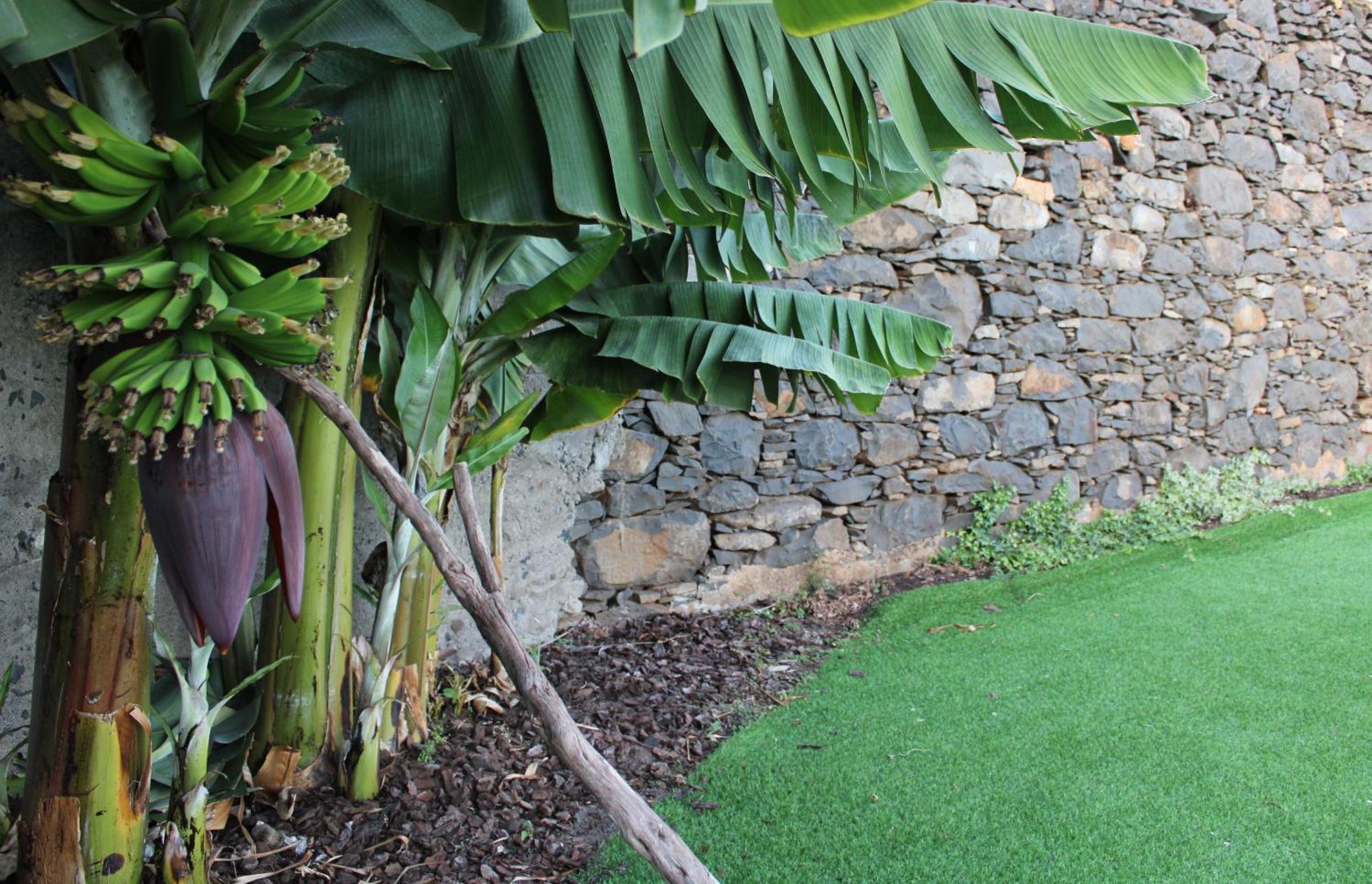 Moradia Stephanie Funchal (Madeira) Exterior foto