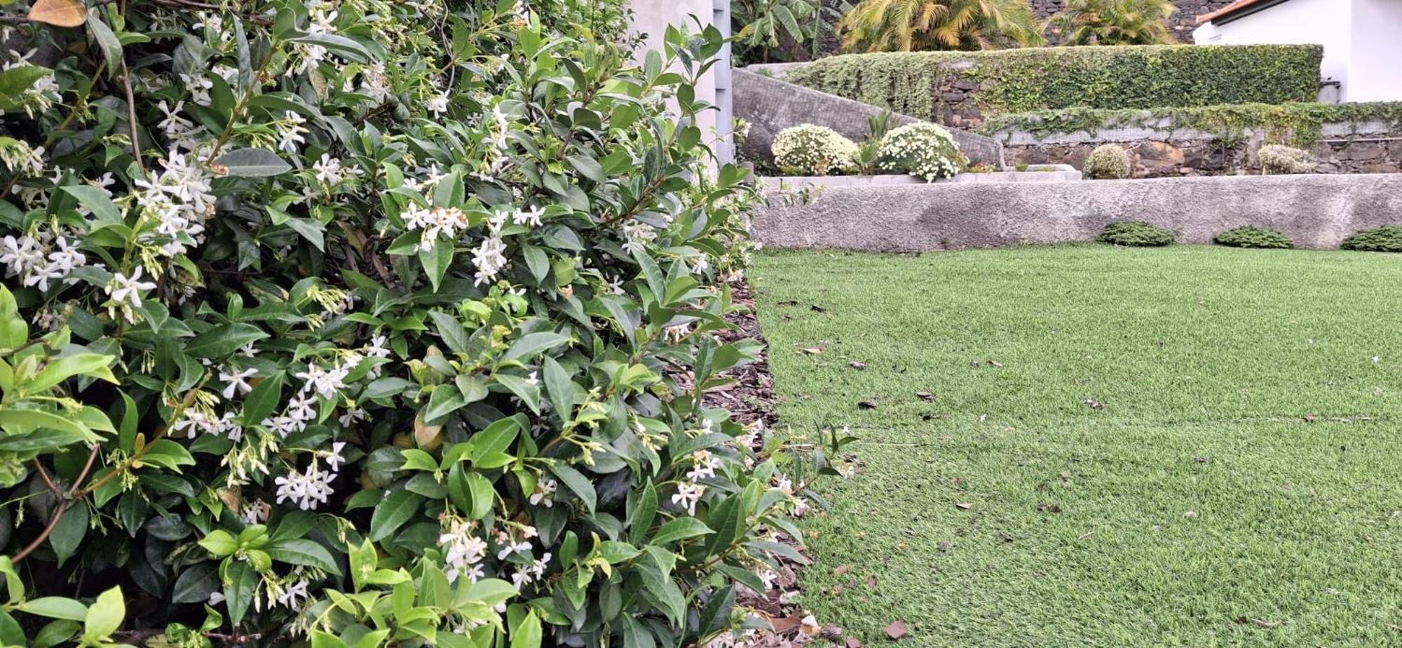 Moradia Stephanie Funchal (Madeira) Exterior foto